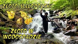 The Gold of Małopolska-Gold in the Waterfall and cattle grazing.How do you easily find gold?