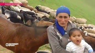 Таджикская женщина-пастух: коня на скаку остановит