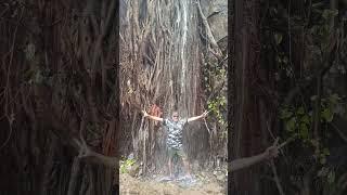 Enjoying Life Under Rejuvenating Waterfall #doctor #shortvideo #shorts #short