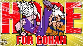 How Toyotarou FIXED Gohan