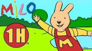 1 Heure d'épisodes de Milo le Lapin  Mega compilation