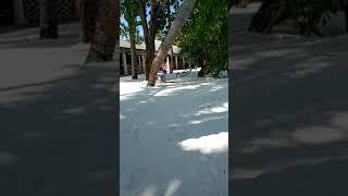 Kids playing in Sun island Maldives beach