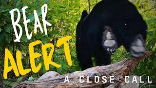 Bear Alert! - A Close Call With Full Footage of the Unexpected Visitor