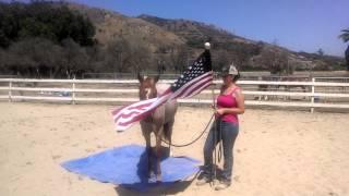 Mystery on a tarp and with a flag :)