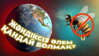 ЖЕРДЕГІ БАРЛЫҚ ЖӘНДІКТЕР ЖОЙЫЛЫП КЕТСЕ НЕ БОЛАДЫ? |АРАНЫҢ ПАЙДАСЫ ҚАНДАЙ?