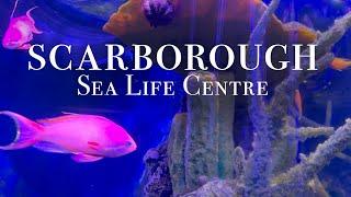 Scarborough Sea Life Centre