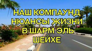 НЮАНСЫ ЖИЗНИ РУССКОЯЗЫЧНЫХ В ШАРМ ЭЛЬ ШЕЙХЕ, НАШ КОМПАУНД, ШАРМ ЭЛЬ ШЕЙХ 2020