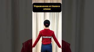 упражнения от боли в спине