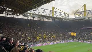 The Yellow Wall's reaction to Haller's goal!!! 