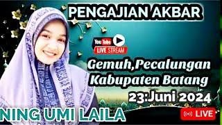  Live Ning Umi Laila || Pengajian Akbar Desa Gemuh Pecalungan Batang