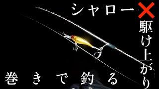 「琵琶湖おかっぱり」シャロー️駆け上がりを巻いて釣る #琵琶湖  #バス釣り  #琵琶湖おかっぱり