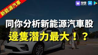 【新能源汽車】同你分析新能源汽車股邊隻潛力最大！？｜聶振邦 | 港股2023｜秒投所好 | 秒投StockViva