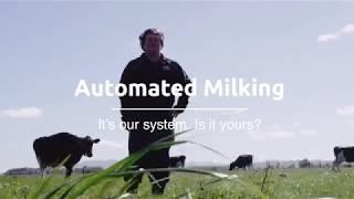 Lely Astronaut pasture based automated milking - Morrinsville, New Zealand.