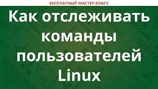 Как отслеживать команды пользователей Linux