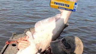 Huge Catfish SMACKS angler (a TWISTED TEA saga)