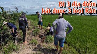 Được E m Quẹo dẫn đi bắt Rắn ở 3 địa điểm, bắt được 5 con | TGSB #937