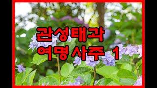 관성태과 여명사주 1