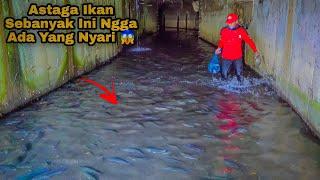 Astaga..! Ikan Sebanyak Ini Ngga Ada Yang Nyari / Gogoh Ikan Di Dalam Gorong Gorong Angker