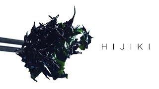 HIJIKI SEAWEED