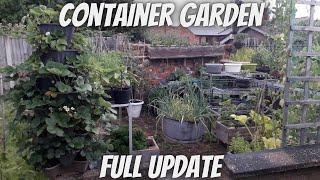 Container Garden Full Update [Gardening Allotment UK] [Grow Vegetables At Home ]