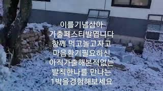 가출페스티발