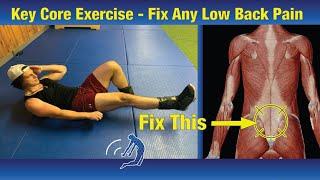 Key Core Exercise to Heal Any Low Back Injury - (Part 2/3)