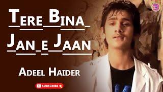 Tere Bina Jan e Jaan | Adeel Haider | Love Song | Gaane Shaane