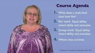 Teaching Multi-level Classes