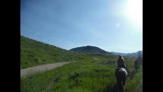 Trek America Northern BLT Part 10 - Grand Teton National Park & Jackson, Wyoming