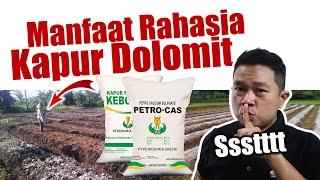 Jarang Diketahui.! Manfaat Rahasia Kapur Dolomit / Kapur Pertanian - Pupuk Pembenah Tanah