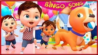 𝑵𝑬𝑾 Bingo School Dog Song , Wheels on the Bus  , Baby Shark ,ABC song ,Bath Song - Banana Cartoon