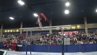 Brody Malone - Parallel Bars - 2020 Winter Cup Senior Prelims