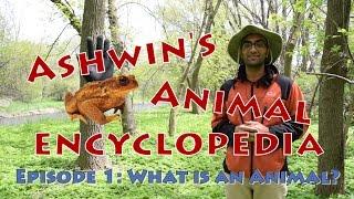 Ashwin's Animal Encyclopedia - What is an Animal?