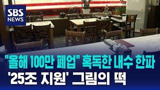 "올해 100만 폐업" 혹독한 내수 한파…'25조 지원' 그림의 떡 / SBS