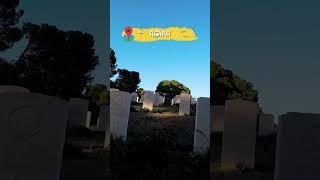 Canadian cimitery FPV SHOT. #sicily #fpv #sicilia