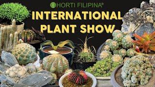 Rare and Beautiful Cacti, Succulents & Euphorbias at Horti Filipina International Plant Show