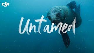 DJI Osmo Action 3 - Cape Town Untamed (feat. MrBrynnorth)