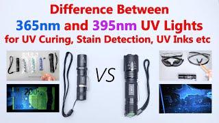 Difference Between 365nm and 395nm UV Lights for UV Curing, Stain Detection, UV inks etc