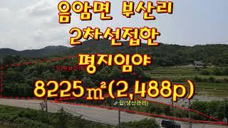 서산공인중개사음암면 부산리 임야 8,225﻿㎡(2,488p)3.3﻿㎡당28만원