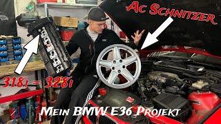 Mein BMW E36 Cabrio 318i(328) Projekt/ TEIL1