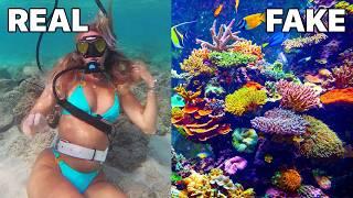 You were lied to about Coral Reefs