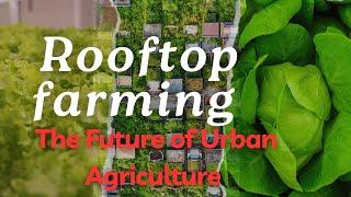 Rooftop Farming: The Future of Urban Agriculture # Modern Agriculture #greencities #Sustainable