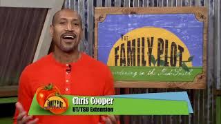 Family Plot: Gardening in the Mid-South | preview