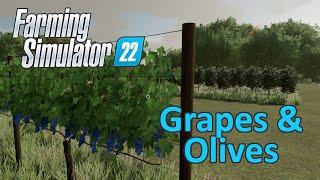 Farming Simulator 22 Tutorial | Grapes & Olives