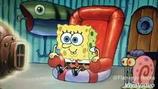 { Spongebob caught watching Whatever Happened to Robot Jones} Robot Jones vine 2