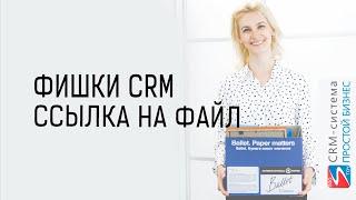 CRM-система «Простой бизнес». Как сделать ссылку на файл