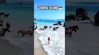 Islands On Earth That Are Ruled By Animals! Pt.2 #shorts #travel #animals