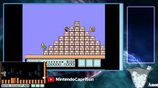 Racing Myself In SMB3 (The Stupoid Run)