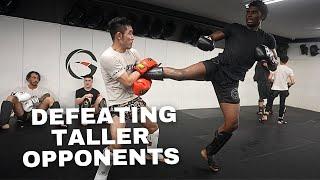 The BEST Video You'll Watch on How to Fight Taller Opponents