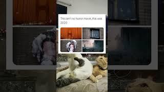 Random Post Memes #trendingshorts #memesworldofficial #shortvideos